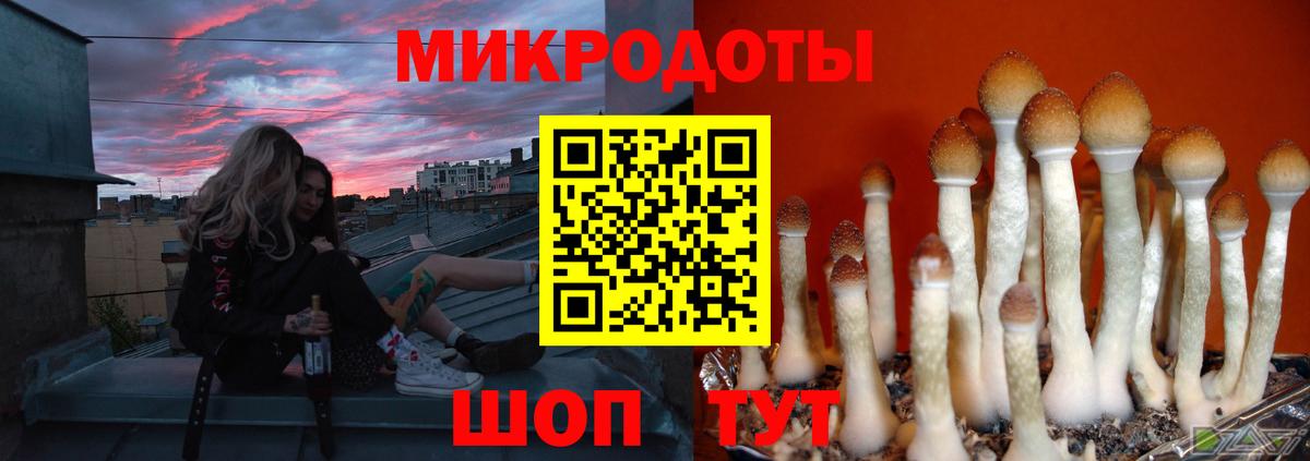 Псилоцибиновые грибы прущие грибы Дедовск